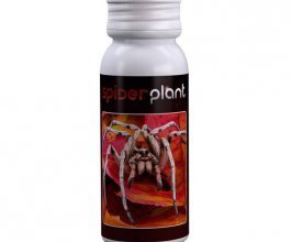 Spider Plant - přírodní postřik,15ml