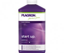 Plagron Start Up, 1L